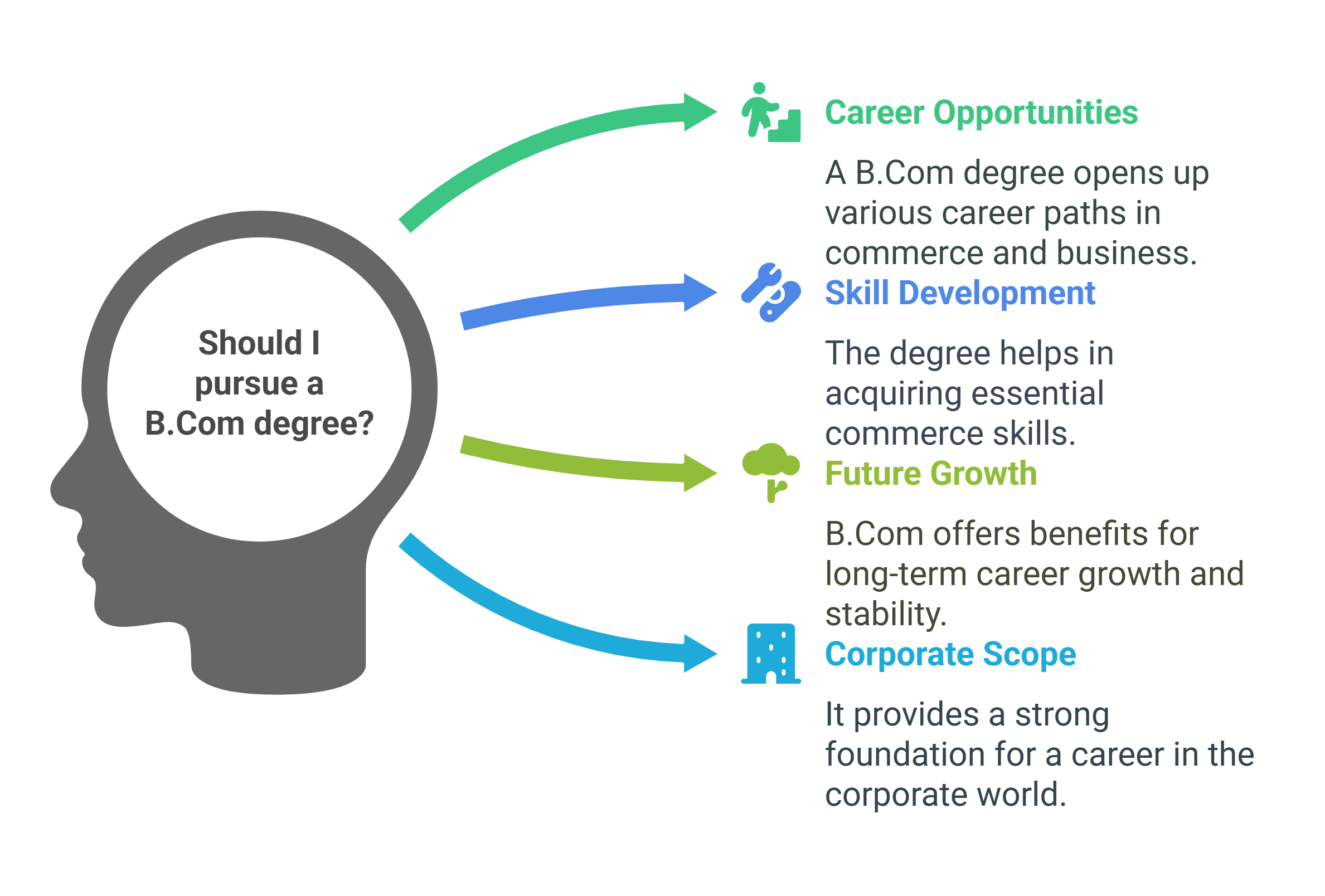 importance-of-bachelor-of-commerce-honours